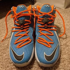 Lebron James XII